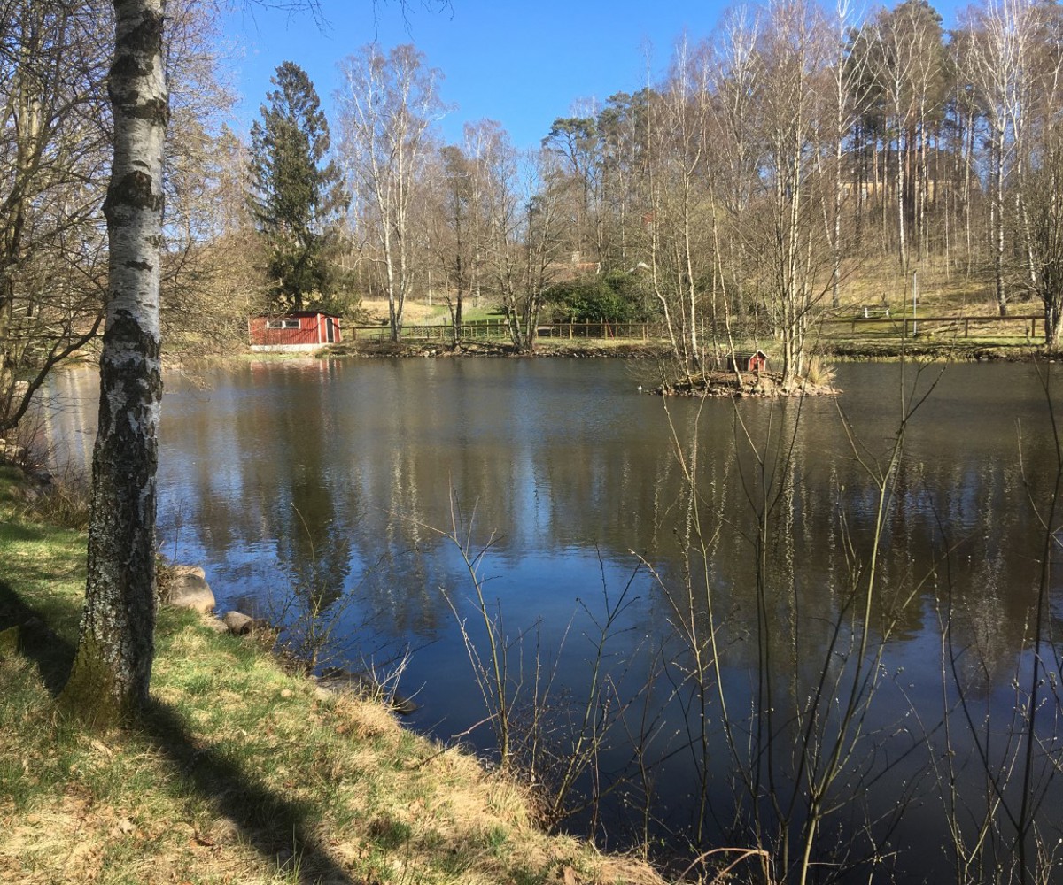 Galgberget forest