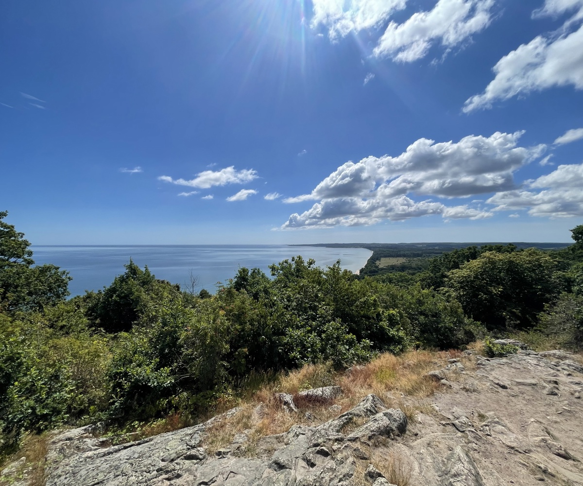 Stenshuvud coastline and forest