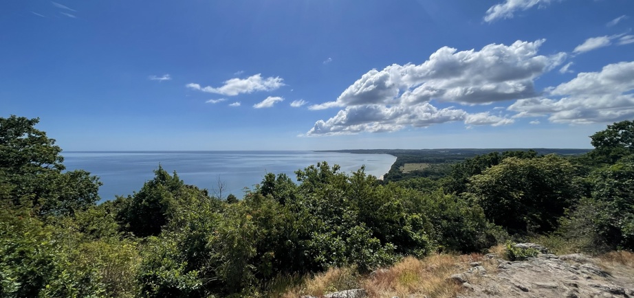 Stenshuvud coastline and forest