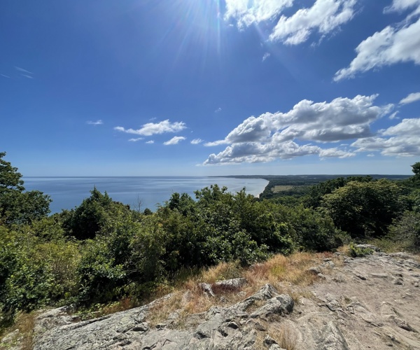 Stenshuvud coastline and forest