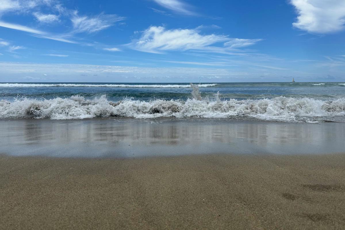 Playa del Inglés – Sun, Surf and Nightlife on Gran Canaria