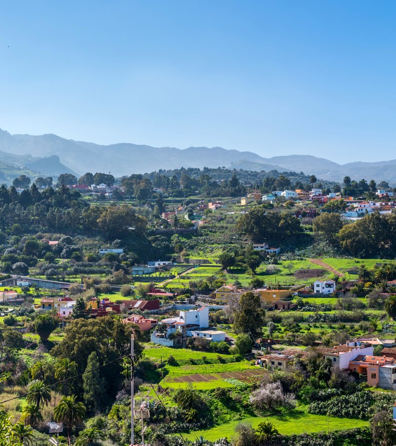 Santa Brígida vineyards and town