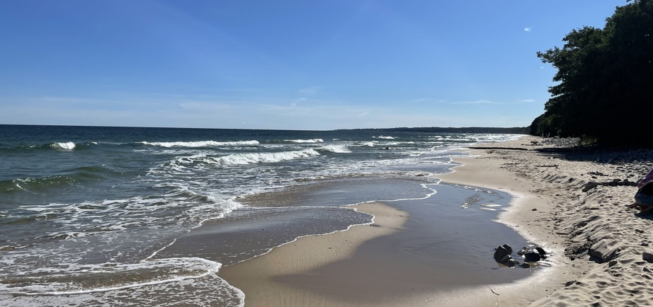 Stenshuvud viewpoint