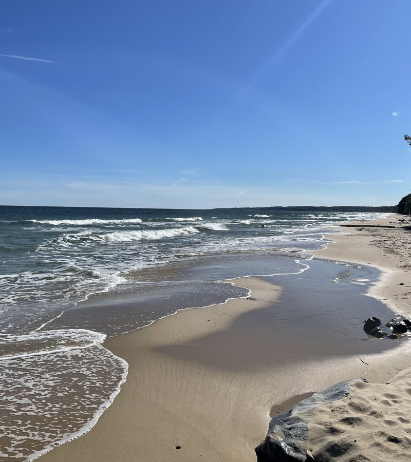 Stenshuvud viewpoint