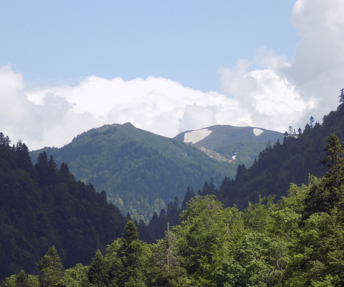 Biogradska Gora National Park