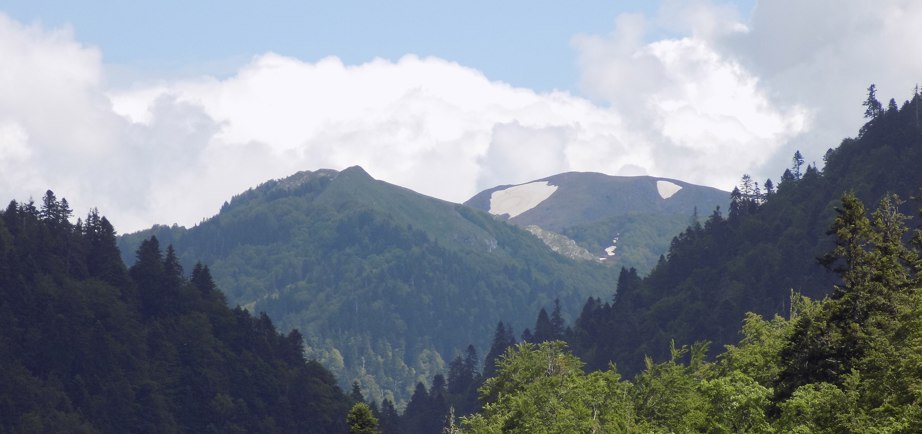 Biogradska Gora National Park