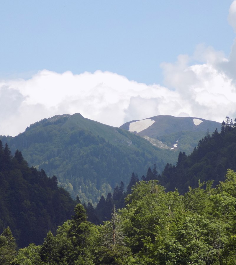 Biogradska Gora National Park