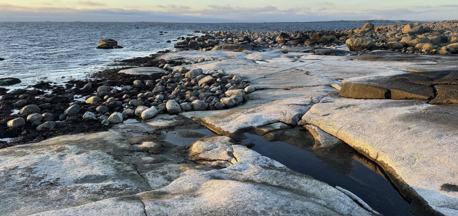 Getterön nature reserve