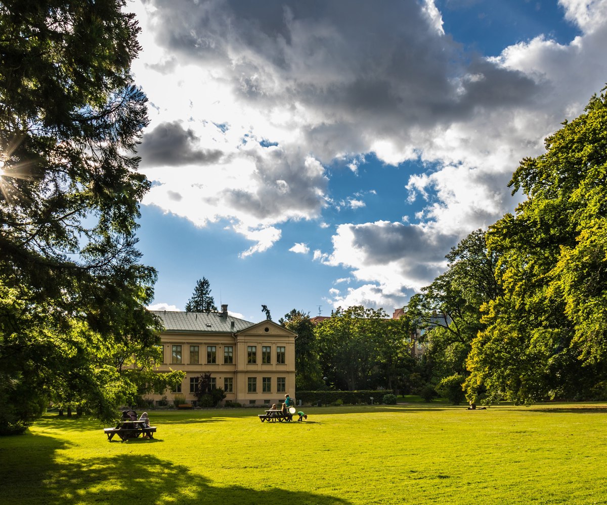 Lund Botanical Garden pathways