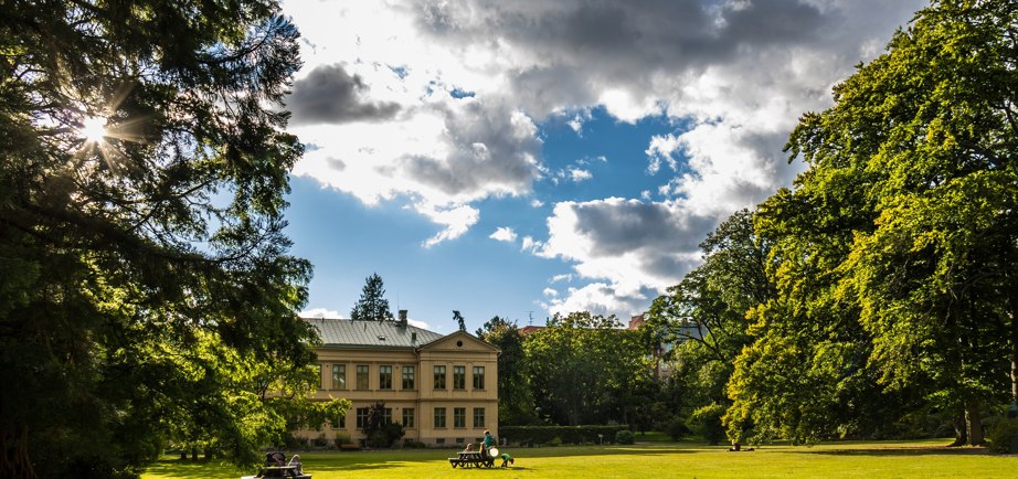 Lund Botanical Garden pathways