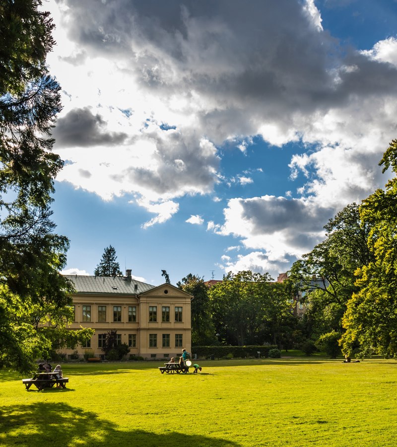 Lund Botanical Garden pathways