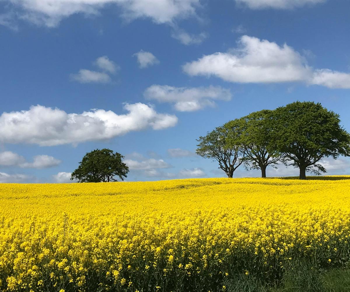 Skåne
