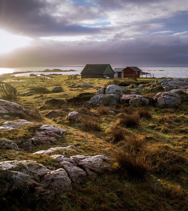 Grimsholmen coastline