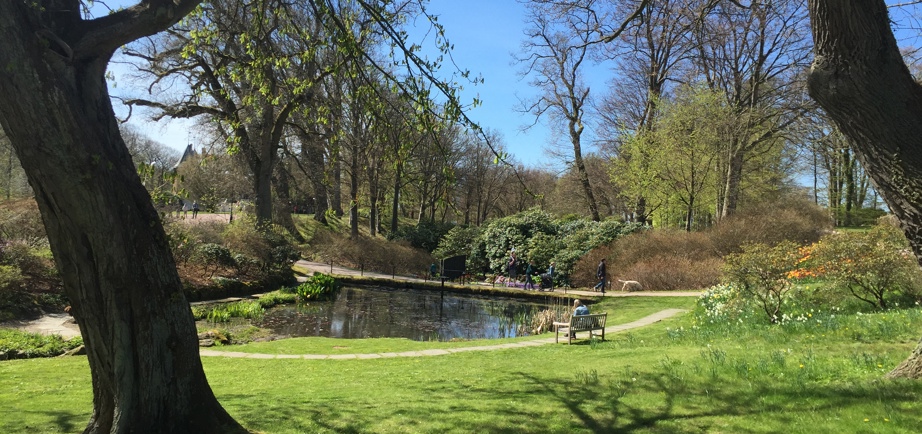 Sofiero gardens Helsingborg