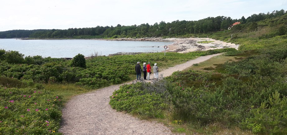 Prince Bertil’s Trail coastline