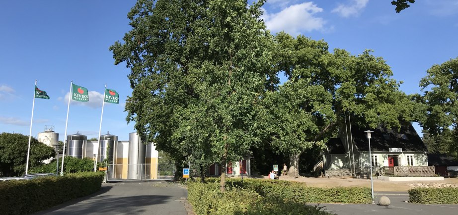 Kiviks Musteri, Skåne