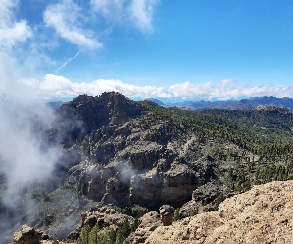View from Pico de las Nieves