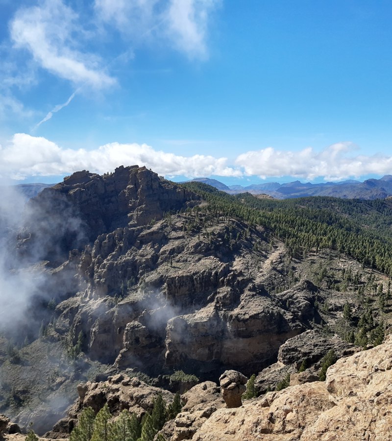 View from Pico de las Nieves