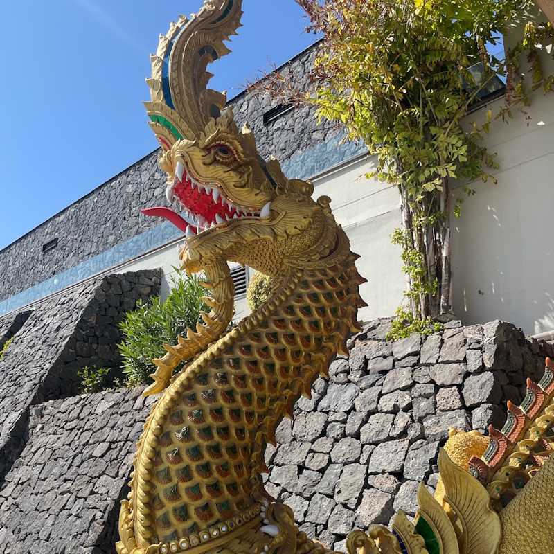 Dragon - Siam Mall