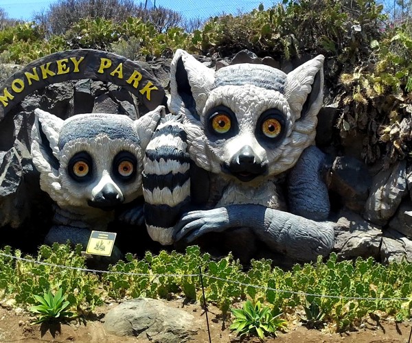 Monkey Park Adventure