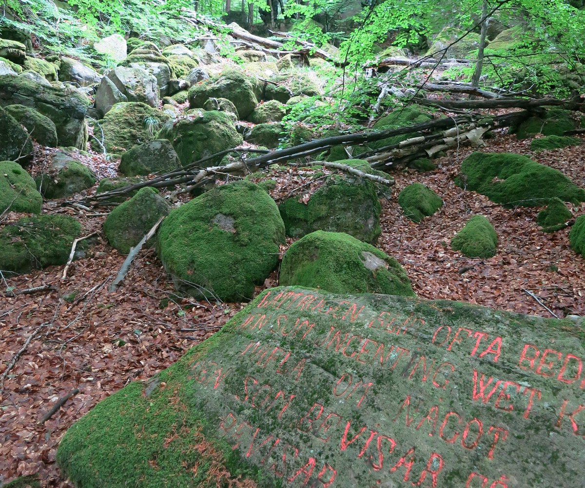 Bexell’s Talking Stones forest carvings
