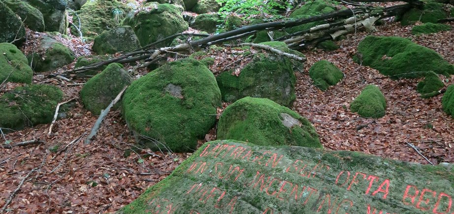 Bexell’s Talking Stones forest carvings