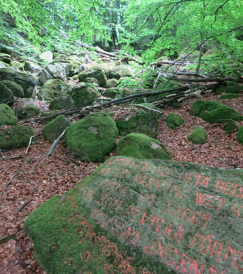 Bexell’s Talking Stones forest carvings