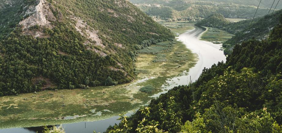 Skadar Lake & Virpazar – Wetlands, Wine & River Bends
