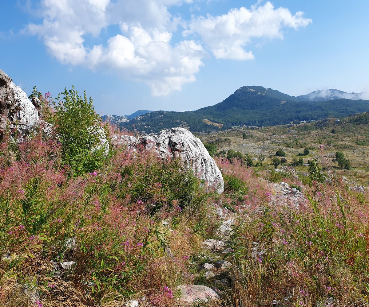 Lovćen National Park Montenegro
