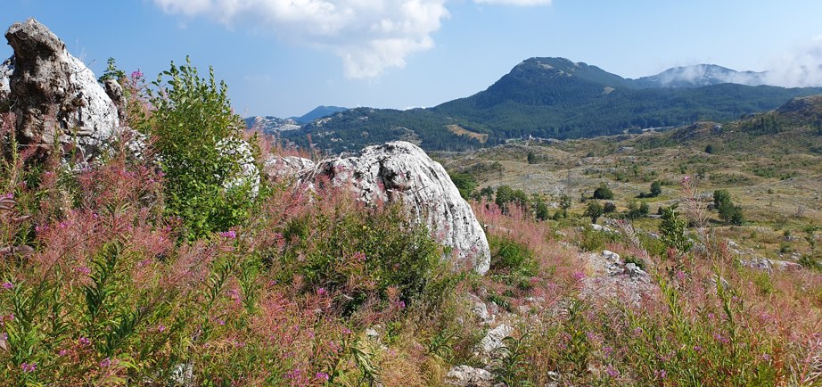Lovćen National Park Montenegro