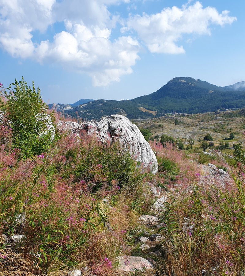 Lovćen National Park Montenegro