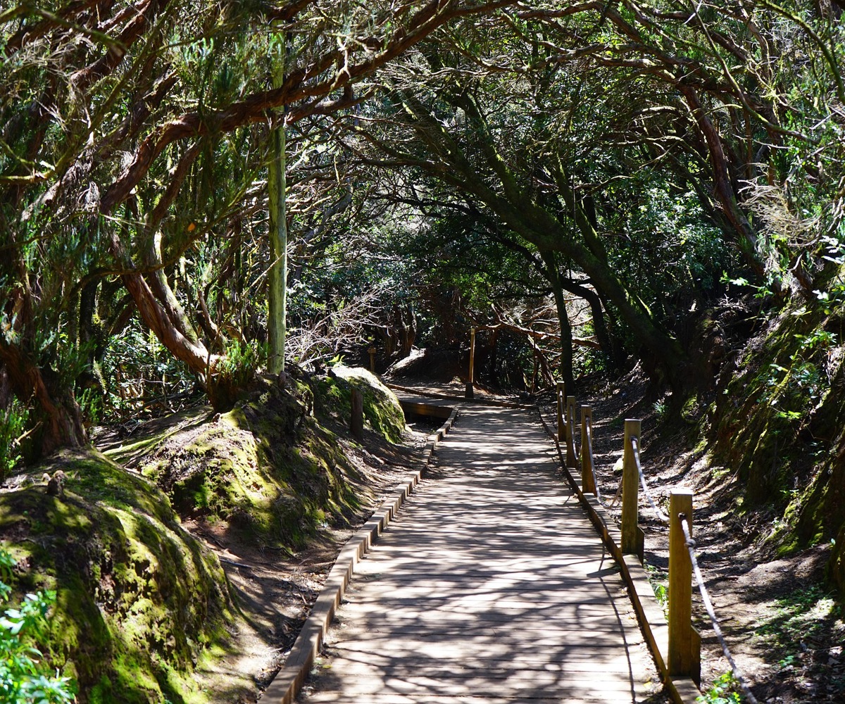 Anaga Rural Park