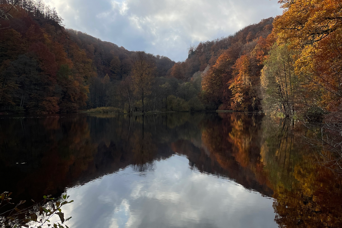 10 Places in Skåne You Must Visit Before You Die