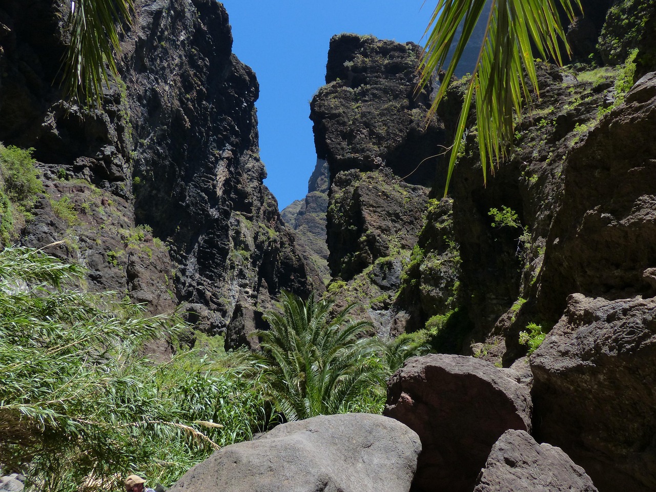 Masca Gorge with dramatic cliffs and lush greenery in Tenerife's Teno Mountains